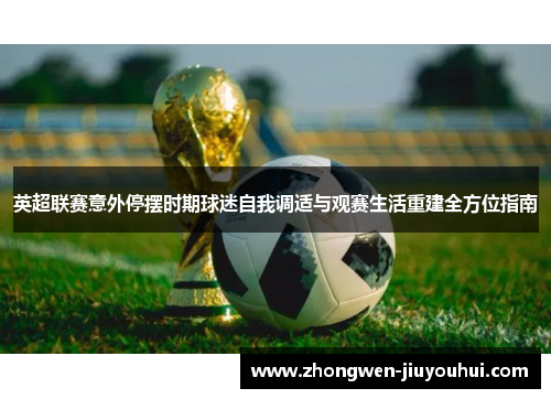 英超联赛意外停摆时期球迷自我调适与观赛生活重建全方位指南