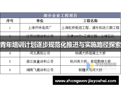 青年培训计划逐步规范化推进与实施路径探索